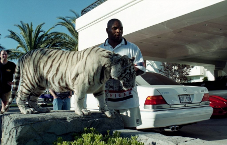 mike tyson,tigris