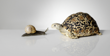 Borítókép: Kétlaki szerelem - itthon is egyre többen választják 