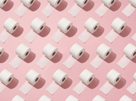 Borítókép: Hogyan választhatsz testvért a vécédnek?