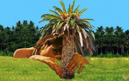 Borítókép: Ökofília – vannak, akik nem csak ölelgetnék, ágyba is bújnak a fákkal