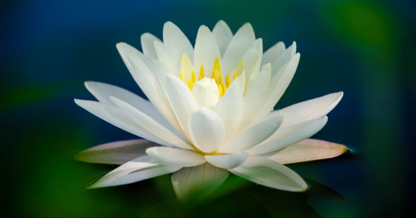 Borítókép: Végre egy új találmány, ami könnyebbé teszi a nők életét