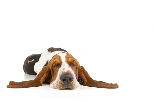 költözés,költöztetőcég,szállítás,bútor