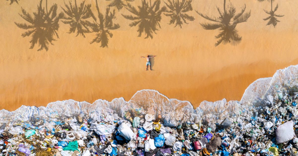 Borítókép: 2020-ban a környezetvédelem a legjobb marketingfogás