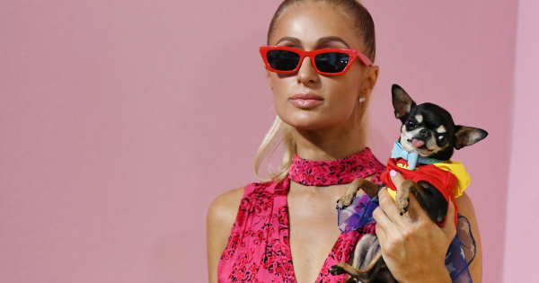 Borítókép: Paris Hilton és a holografikus valóság