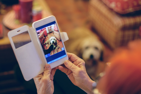 Borítókép: Féltékeny a kutyád a telefonodra?