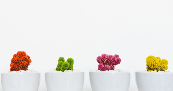 Borítókép: Így dobd fel könnyedén az otthonod!