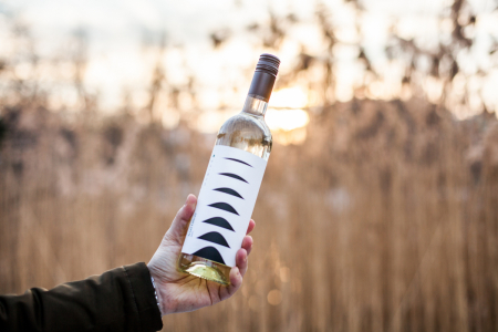 Borítókép: Milyen fűszerhez milyen bort válasszunk?