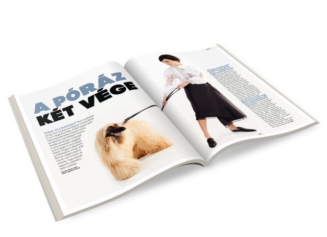 csonka berta,felelős kutyatartás