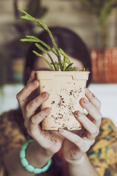 Borítókép: 21 zöld szokásom, amikkel az elmúlt időszakban egy csomó pénzt is spóroltam