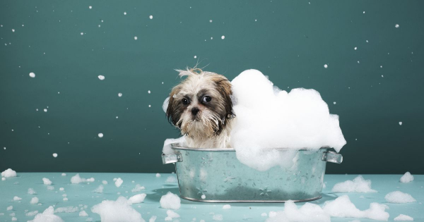 Borítókép: Koronavírus: tedd vagy inkább ne tedd?