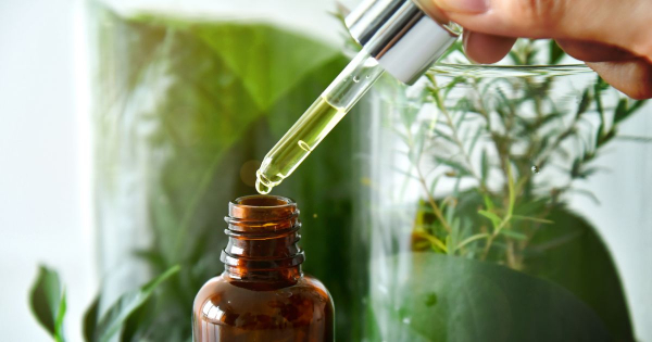 Borítókép: Aromaterápia az irodában és home office-ban