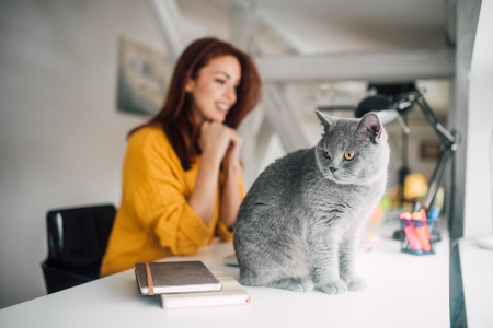home office,távmunka