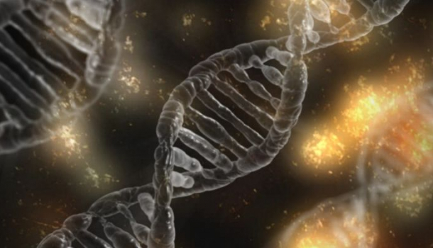 önismeret,képzés,szeretet,tisztelet