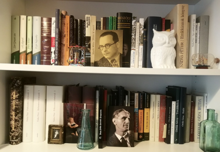 koronavírus,polc,könyvespolc