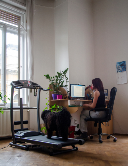 kutya,foglalkoztató,bezártság