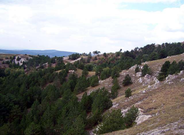 kirándulás,túra,karantén,kopárok