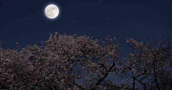 Borítókép: Az év legfényesebb szuper holdját láthatjuk ma este az égen