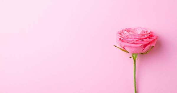 Borítókép: Friss, virágos és érzéki illatok a megújulás jegyében