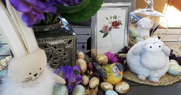 Borítókép: Virágos tavaszt hoz a Praktiker az otthonokba 