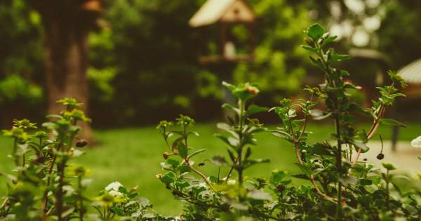 Borítókép: Itt a tavasz, ideje a kerti munkáknak