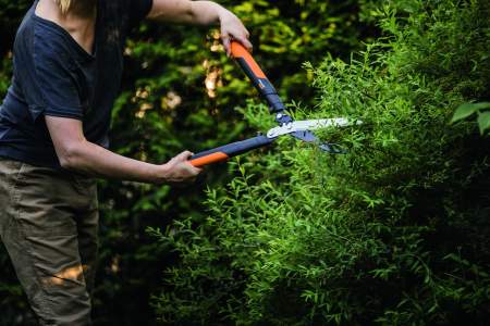 Borítókép: Kié a legszebb sövény a környéken?