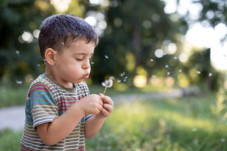 Borítókép: Orchidea, pitypang, vagy tulipán – a te gyereked milyen virágnak felel meg?