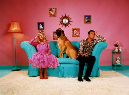 Borítókép: Kinél maradjon a közös kutya szakítás után?