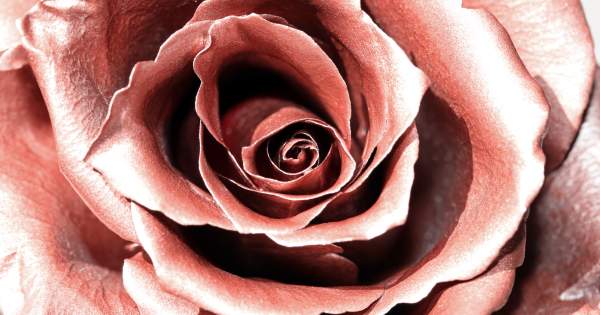 Borítókép: A színésznő, csak azért festette rozé aranyra a haját, hogy bosszantsa a lányát