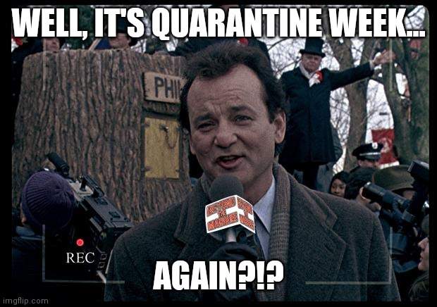 grounghog day,bill murray,meme