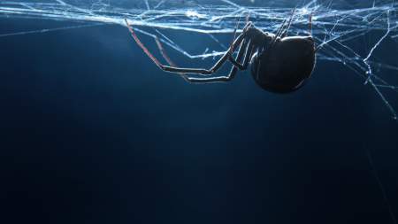 Borítókép: Állati jó mérgek, amiket gyógyításra használnak