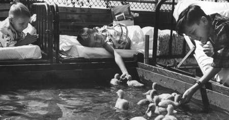 Borítókép: Már a régiek is ismerték a terápiás állat fogalmát: képeken mutatjuk!