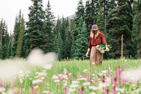 Borítókép: Csodálatos gyógynövények, amiket neked is érdemes idén nyáron gyűjtened