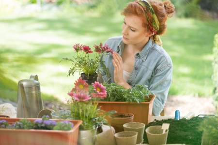 kerészkedés,virágok