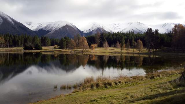 új-zéland