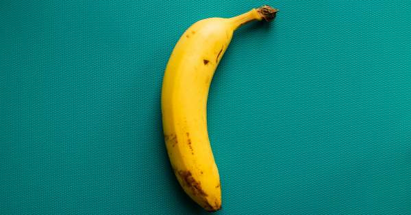 Borítókép: Finom és tápláló trópusi gyümölcs: a banán, amely kutyád kedvence lehet