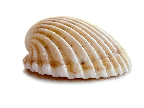 Borítókép: 3 kérdés, ami eszünkbe jutott