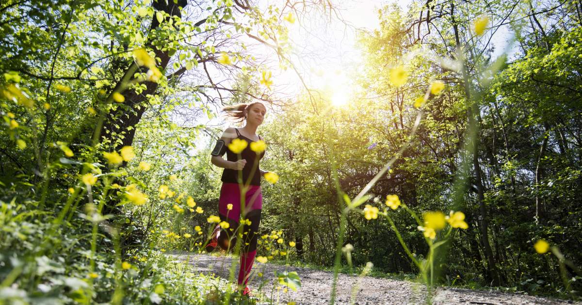terepfutás, térkép, turistajelzés, útvonalak