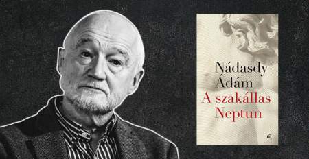 Borítókép: Novellák a férfiszerelemről - Nádasdy Ádám: A szakállas Neptun