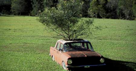 Borítókép: Autóroncsok, amiket körülfont a természet – fotók