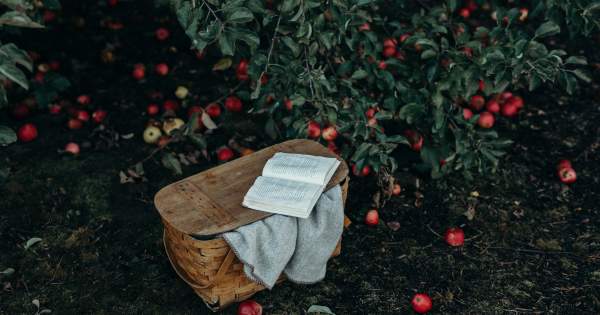 Borítókép: Válaszd ki a tökéletes őszi könyvet - akár 60% kedvezménnyel a Joy-napokon!