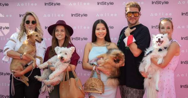 Borítókép: Kutyával a vörös szőnyegen: a legstílusosabb, legcukibb és legsportosabb kutya-gazdi párosok és sztárok vonultak kedvenceikkel