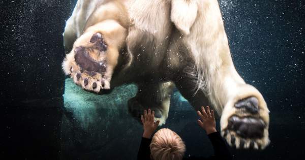 Borítókép: Climate Clock: Ennyi ideje maradt hátra a Földnek