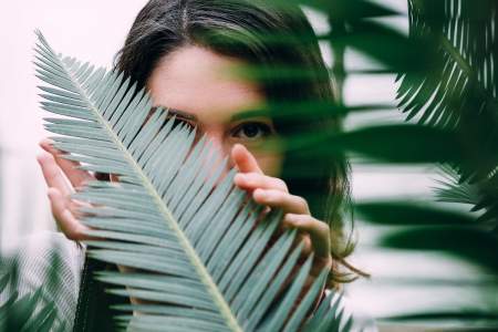 Borítókép: Szobanövények, amiket pontosan havonta egyszer kell öntözni