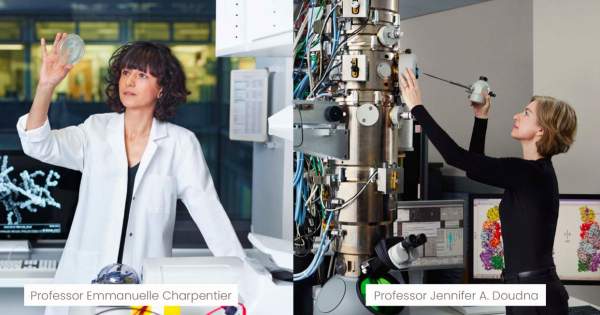 Borítókép: Történelmet írt a kémiai Nobel-díj Párizsba