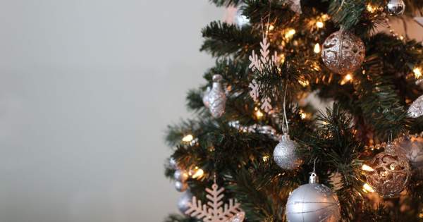 Borítókép: Karácsonyfa kisokos: milyet, mikor, és hogyan?