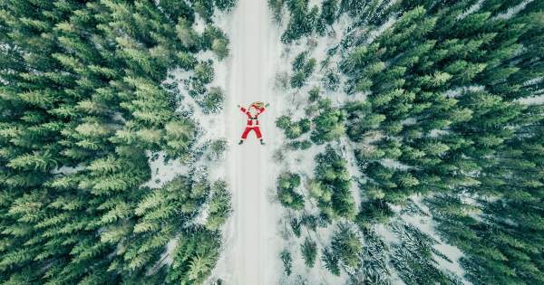 Borítókép: Vegan Love: karácsonyi ajándék ötletek (nem csak) vegánoknak