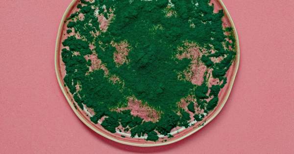 Borítókép: Egy tortarecept arra az esetre, ha úgy érzed, feladnád a diétát