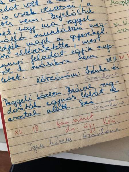 Borítókép: Top 20 beírás a régi, jó ellenőrzőből – avagy gyermekkorunk legröhejesebb intői