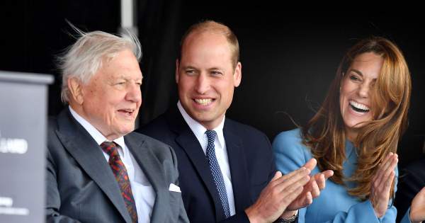 Borítókép: 7 érdekes dolog, amit nem tudtál Sir David Attenborough életéről