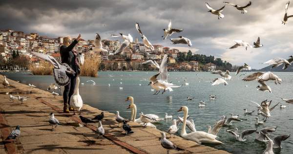 Borítókép: Rákattantam egy tipikus boomer hobbira, és megváltozott az életem